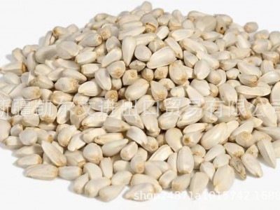新疆特级红花籽 红花子白瓜籽白瓜 出油率29% 亚油酸79%图3