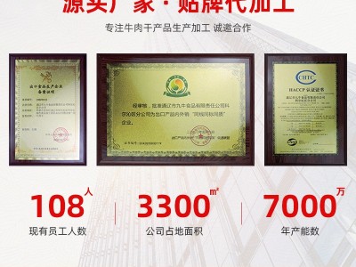 风干牛肉干内蒙古特产麻辣牛肉干零食网红手撕牛肉源头工厂OEM图4