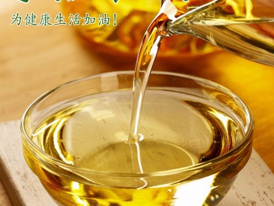 红花籽油新疆红果实物理压榨A级绿色食品植物健康食用油4瓶*5L图4