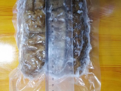 水发黄玉参 深海水发黄玉参 黄肉参 冷冻 即食海参海鲜黄玉参图5