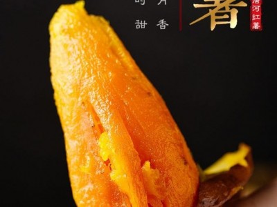 西瓜红薯批发基地 基地直发价格低图3