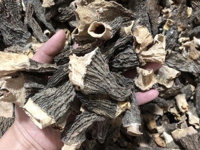 整个羊肚菌批发250g羊肚蘑菇菌鲜煲汤食用菌种羊肚菌干货菌菇汤包图3