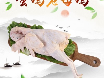 农家散养蛋鸡老母鸡粮食喂养蛋鸡老母鸡现杀发货非冷冻型老母鸡图4
