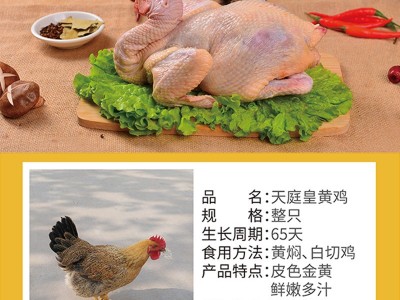 天庭皇黄鸡 肉质鲜美 可做黄焖鸡 皮色金黄鲜嫩多汁图3