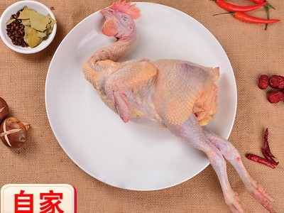 天庭皇黄鸡 肉质鲜美 可做黄焖鸡 皮色金黄鲜嫩多汁图2