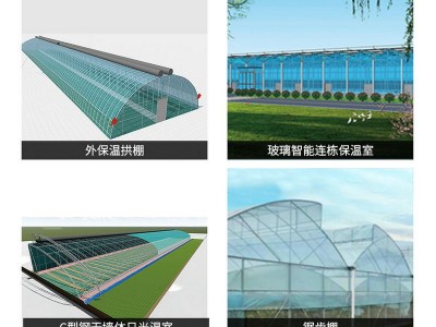 农业玻璃温室大棚阳光生态餐厅温室花卉养殖展厅大棚温室种植大棚图4