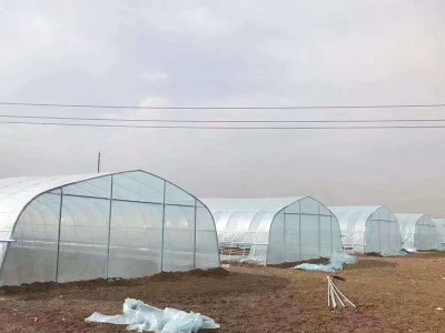 阳光单体薄膜温室大棚 农业种植养殖温室大棚 薄膜温室单体大棚图2