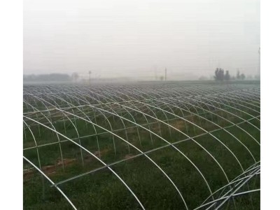 阳光单体薄膜温室大棚 农业种植养殖温室大棚 薄膜温室单体大棚图5