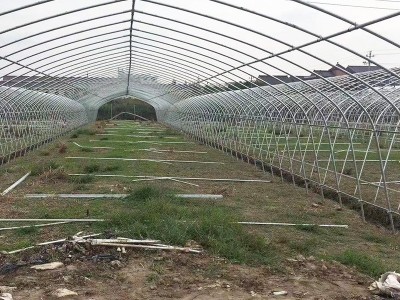 阳光单体薄膜温室大棚 农业种植养殖温室大棚 薄膜温室单体大棚图4