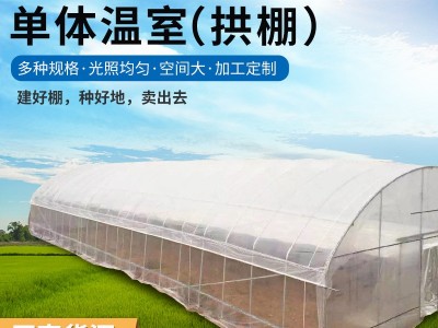 阳光单体薄膜温室大棚 农业种植养殖温室大棚 薄膜温室单体大棚图3