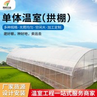 阳光单体薄膜温室大棚 农业种植养殖温室大棚 薄膜温室单体大棚