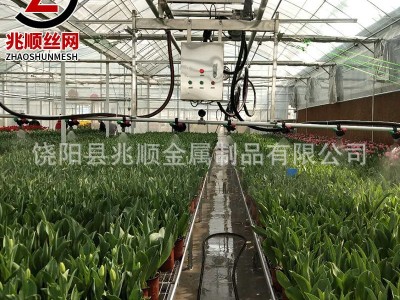 温室移动喷灌车大棚双轨育苗自动喷灌机苗床喷淋系统喷灌水车厂图5