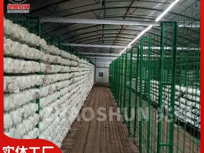 食用菌网片网格香菇培养架浸塑网格香菇出菇钢管层架秀珍菇网格架图3
