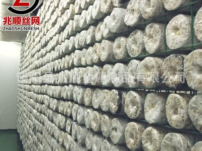 食用菌网片网格香菇培养架浸塑网格香菇出菇钢管层架秀珍菇网格架图4