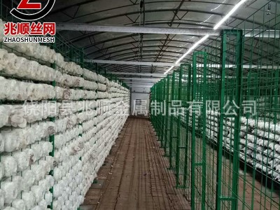 食用菌网片网格香菇培养架浸塑网格香菇出菇钢管层架秀珍菇网格架图2