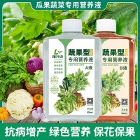 果蔬植物营养液AB液叶菜瓜果类家用园艺蔬菜专用营养液促花保果实