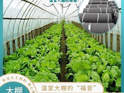 河北大棚保温被 鸿飞被业 蔬菜大棚棉被 种植大棚被 保温大棚棉被图4