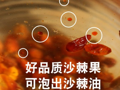 沙棘果 新疆沙棘果干特产干果正品新货新鲜果干500批发图2