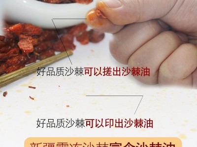 沙棘果 新疆沙棘果干特产干果正品新货新鲜果干500批发图5