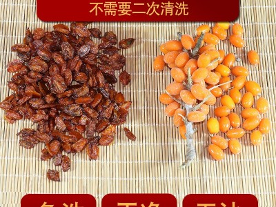 沙棘果 新疆沙棘果干特产干果正品新货新鲜果干500批发图4