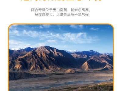 新疆阿合奇大果深秋红沙棘果子棘鲜丰沙棘原浆1吨厂家直销图2