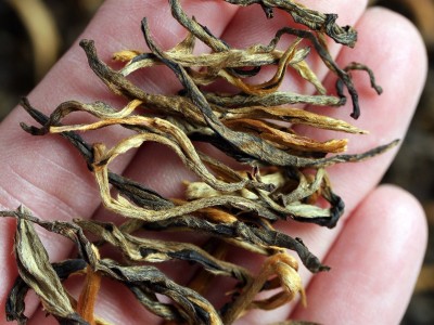 红茶批发云南红茶古树红茶500g散装凤庆滇红大金针茶叶批发滇红茶图3