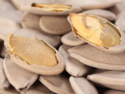 张二嘎绿茶瓜子整箱10斤南瓜子熟香原味瓜籽炒货零食坚果批发图3