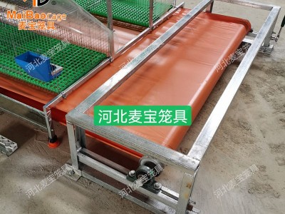自动化清粪设备输送带 兔舍传送带清粪机 履带清粪兔笼设备图4