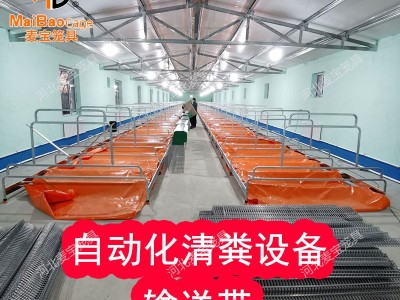 麦宝厂家供应 自动化养殖清粪设备 兔舍兔笼清粪机输送带图2
