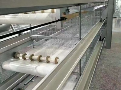 厂家批发 全自动小层叠蛋鸡养殖笼具笼养鸡用设备 三层四层蛋鸡笼图4