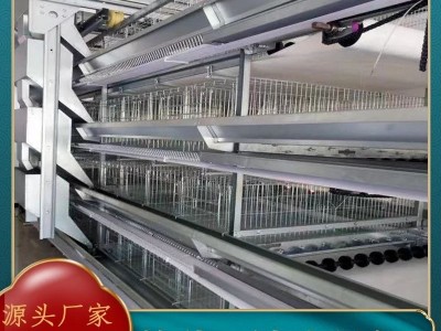 厂家批发 全自动小层叠蛋鸡养殖笼具笼养鸡用设备 三层四层蛋鸡笼图3