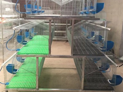 新型自动清粪养殖笼特大号兔笼超大新式养殖场专用大型子母兔子笼图5