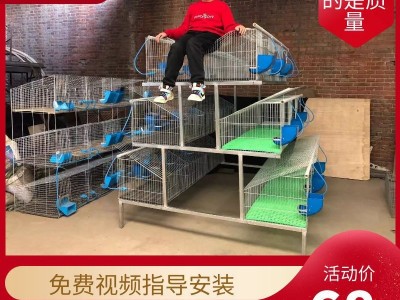新型自动清粪养殖笼特大号兔笼超大新式养殖场专用大型子母兔子笼图3