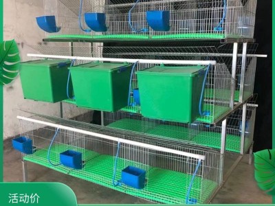 新型自动清粪养殖笼特大号兔笼超大新式养殖场专用大型子母兔子笼图2