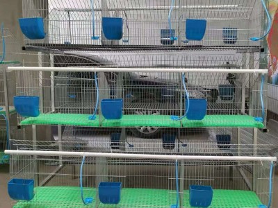 新型自动清粪养殖笼特大号兔笼超大新式养殖场专用大型子母兔子笼图4