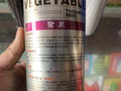 博伦晶甜5号玉米种子 水果玉米种子 紫玉米种子批发 白玉米种子价格 博伦批发各种玉米种子 量大优惠图4
