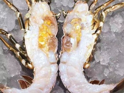 厂家直供冰鲜生冻小青龙龙虾水产批发酒店餐饮专供图5