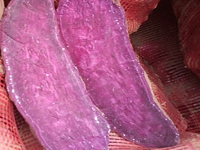 金诺尔 大个新鲜红薯紫薯 鲜美香甜 皮薄易剥 蒸煮烤制图3