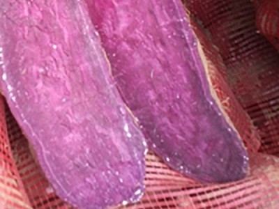 金诺尔 大个新鲜红薯紫薯 鲜美香甜 皮薄易剥 蒸煮烤制图5
