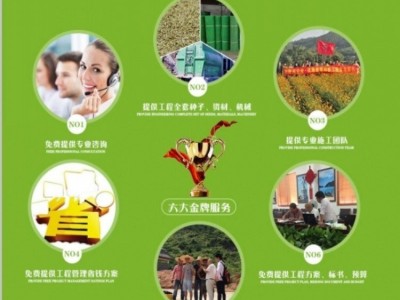 森佰种业批发大花秋葵种子 大花秋葵种子价格便宜 发芽率高大花秋葵种子图3