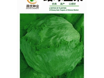 厂家批发菜园蔬菜种子 结球西生菜约2000粒 盆栽阳台院子种子菜籽图2