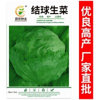 厂家批发菜园蔬菜种子 结球西生菜约2000粒 盆栽阳台院子种子菜籽