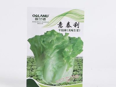 欧兰德意泰利半结球生菜种子批发 紧凑直立生菜种子阳台蔬菜种植图2