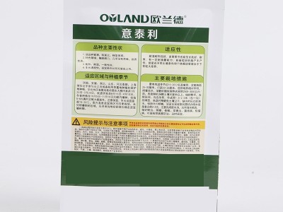 欧兰德意泰利半结球生菜种子批发 紧凑直立生菜种子阳台蔬菜种植图3