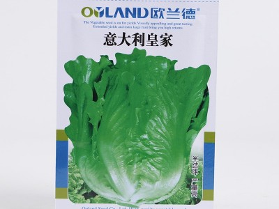 欧兰德意大利皇家生菜种子批发半结球紧凑直立生菜种菜籽支持代发图2