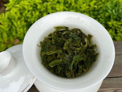 2023年新春绿茶 春茶 绿茶 碧螺春茶 高山云雾绿茶 香茶散茶批发图3