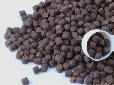 晨辉 鲟鱼饲料鱼苗期42蛋白膨化水产饲料 厂家批发鱼饲料麻团颗粒图3
