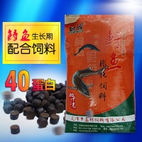 晨辉 鲟鱼饲料40蛋白 膨化缓沉颗粒水产养殖饲料 工厂批发鱼饲料