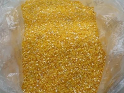 玉米糁批发现货 玉米碴子 干玉米碎 早餐粥原料玉米渣子图4