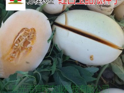 甜瓜种子_Fangcheng/芳程农业_ 羊角蜜甜瓜苗 薄皮甜瓜种子_质量可靠图5